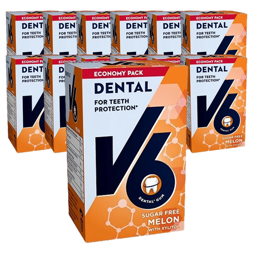 V6 Dental Care Melon 12x70 g