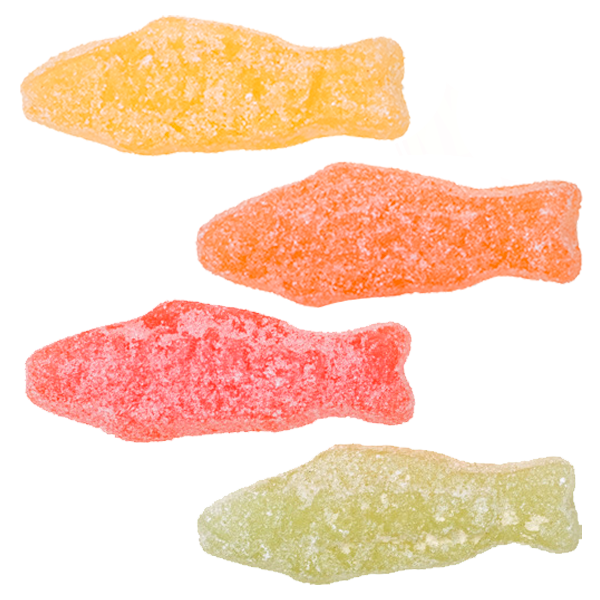 Syrlig Pastellfisk 3,2 kg | Default Start Page - Alla kategorier - Nyheter | Gottegrisen
