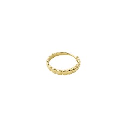 Ring Revan
