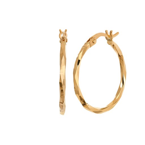 Örhängen i 18K guld