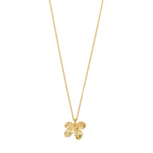 Halsband Ajani