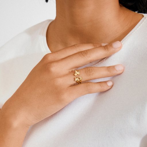 Ring Ajani