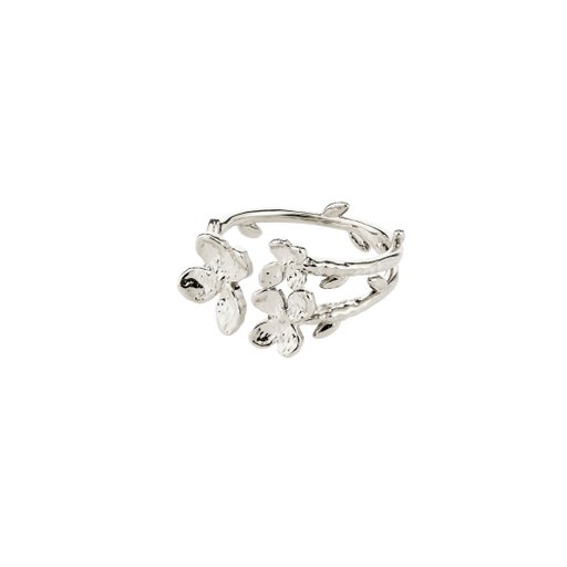 Ring Ajani