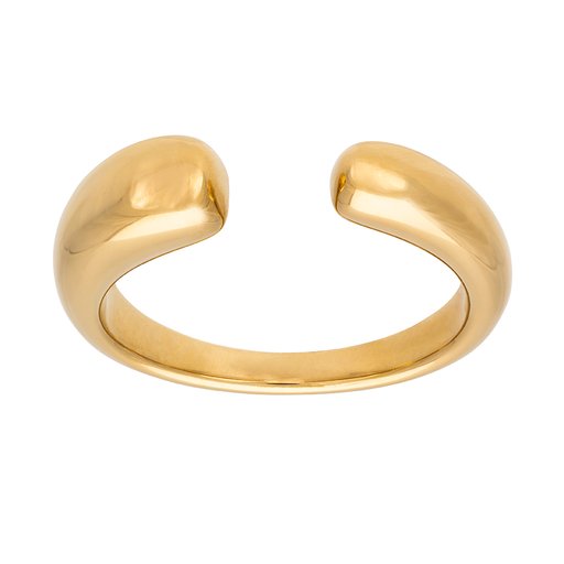 Ring Nike