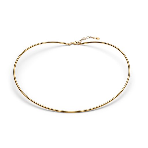 Förgyllt chokerhalsband