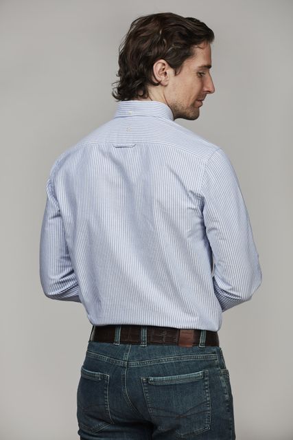 Shirt, organic Oxford, Bold B.D.