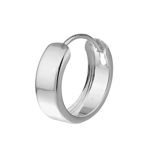 Örhänge styck i äkta silver