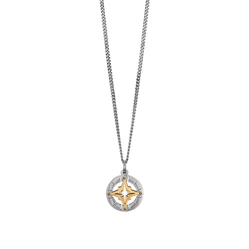 Halsband stål