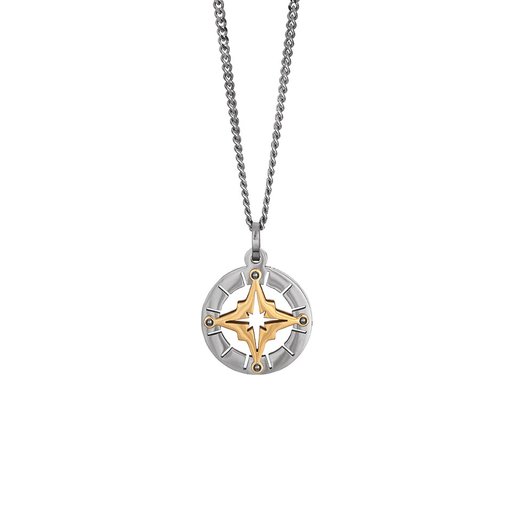Halsband stål