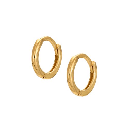 Örhängen i 18K guld