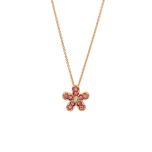 Halsband Saga