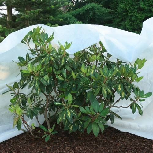 Agrimpex Frostskyddsväv 1,6x20 m – vit (50g/m²)