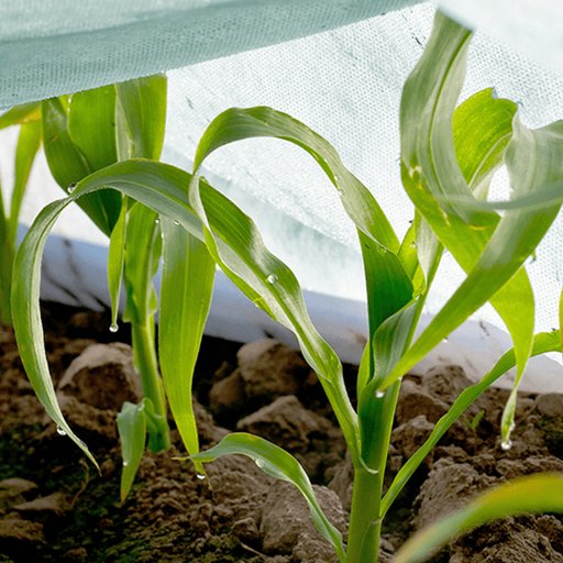 Agrimpex fiberduk Agro-Marina™ 1,6x10 m – turkos (17g/m²)