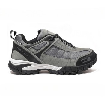 Traction Low Hiking Shoe Gray