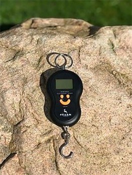 Digitalvåg 50 kg