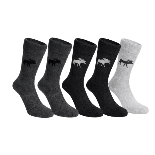 Moose socks 5-pack
