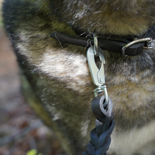Leder-Hundeleine – 180 cm