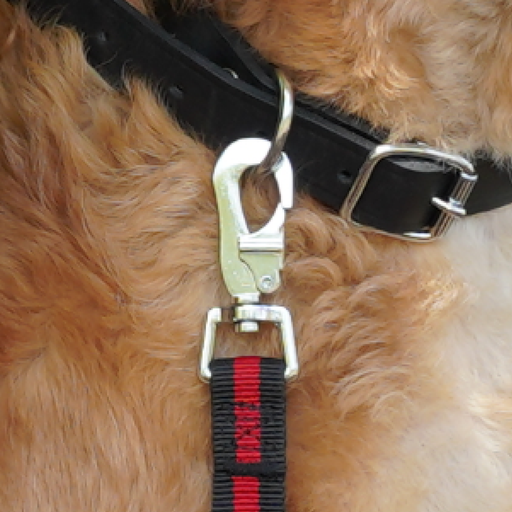Expanderkoppel / Hundkoppel
