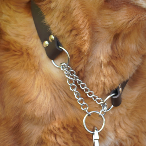 Hundhalsband Läder Halvstryp – Fast