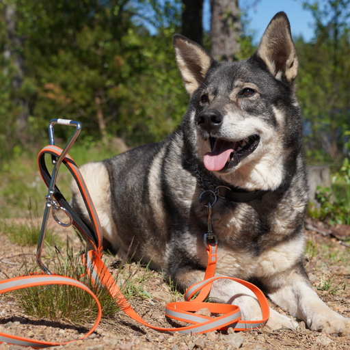 STORM SCREW/DOG STICK