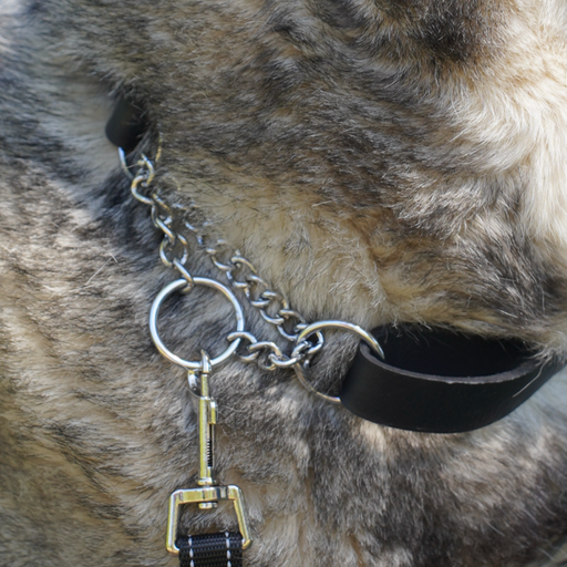 Hundhalsband Läder Halvstryp - Ställbar