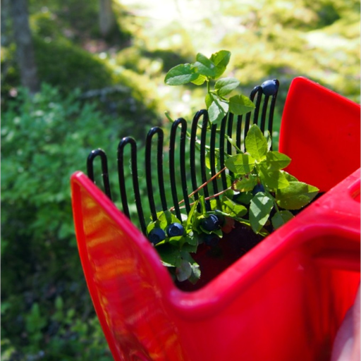 Bärplockare Plastpiggar