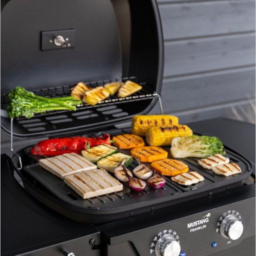 Elgrill Franklin