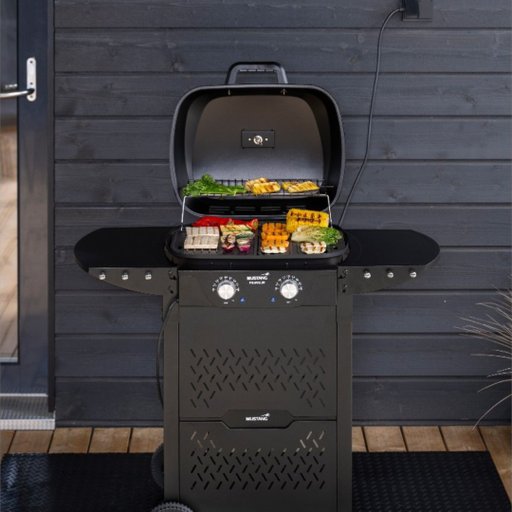 Elgrill Franklin