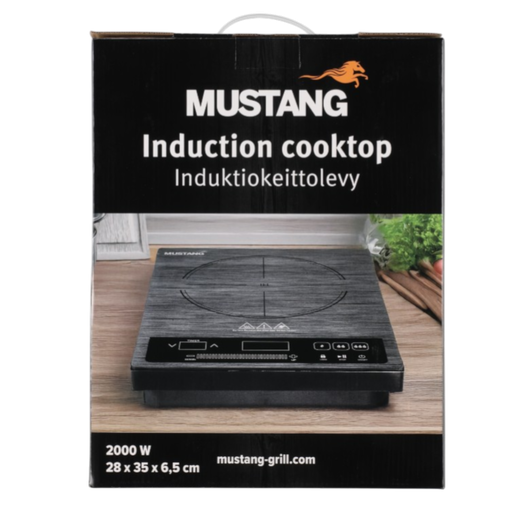 Induktionskochplatte