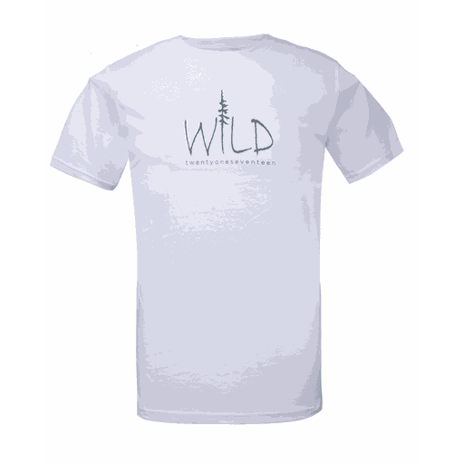 Apelviken t-shirt Herr