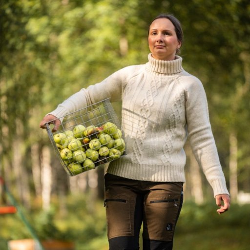 Women's Lambswool Knitted Sweater With Polo Collar