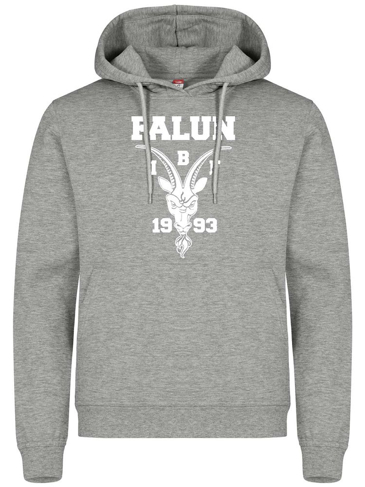 Hoodie, Grey (IBF Falun Supportershop)