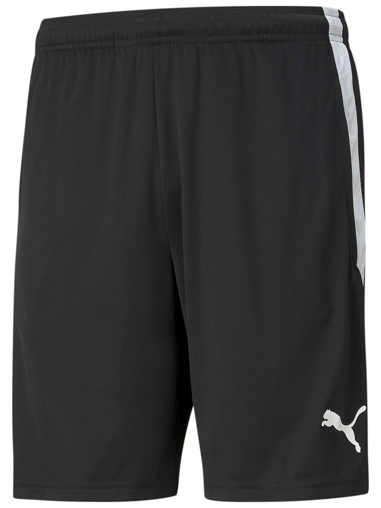 Puma Ledarshorts teamLIGA (Fagerhult Habo IB)