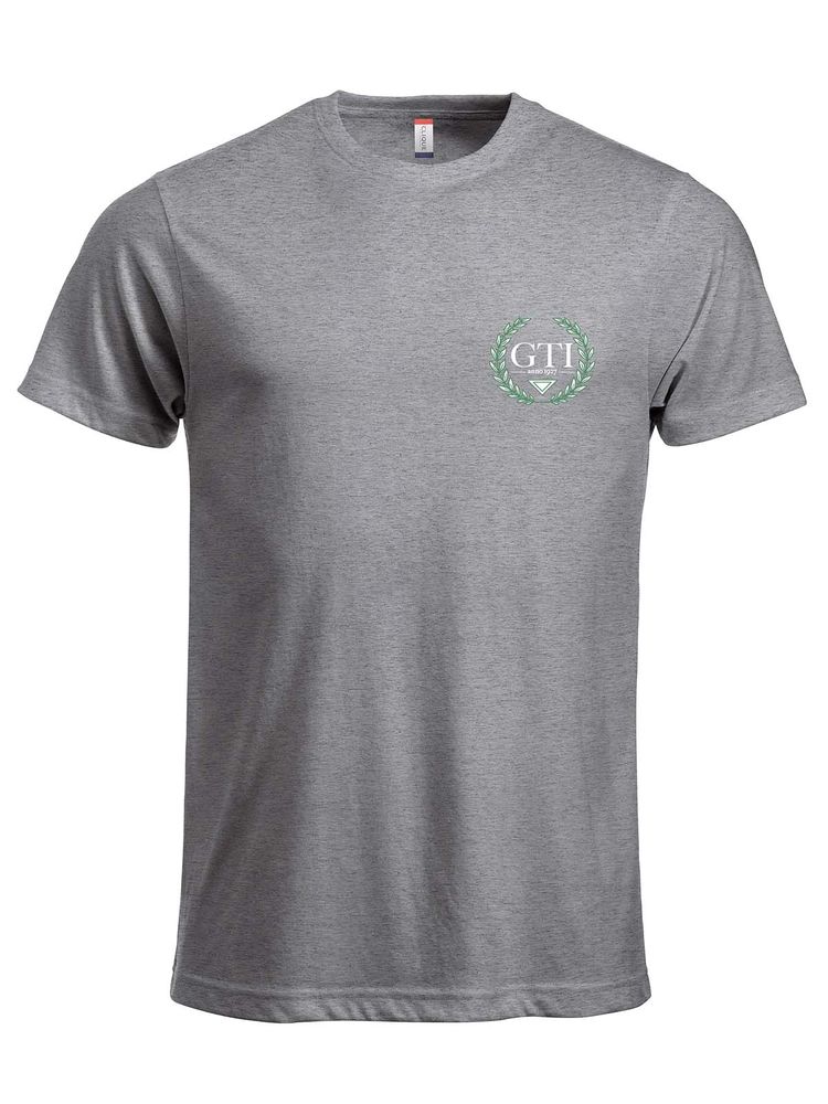 T-shirt - Small grönvit logo, Grey (GTIs Gymnasieskola)