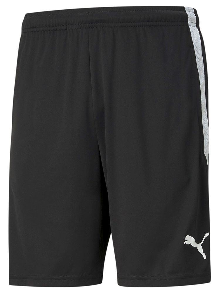 Puma teamLIGA Training Shorts