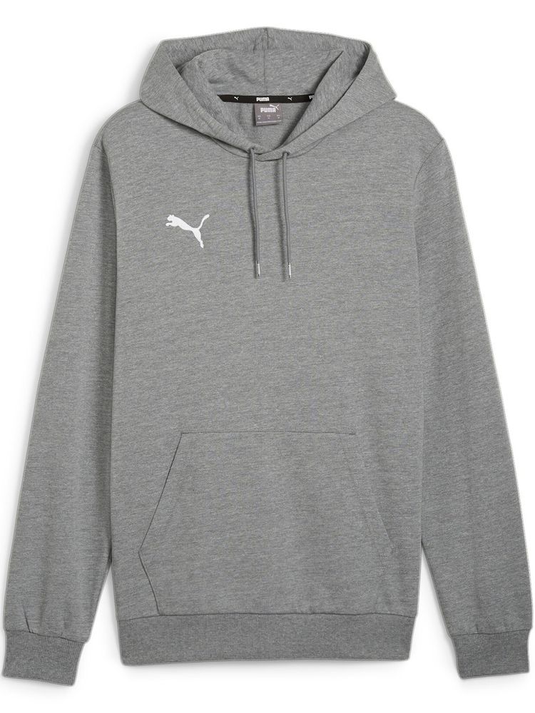 Puma teamGOAL Casuals Hoody