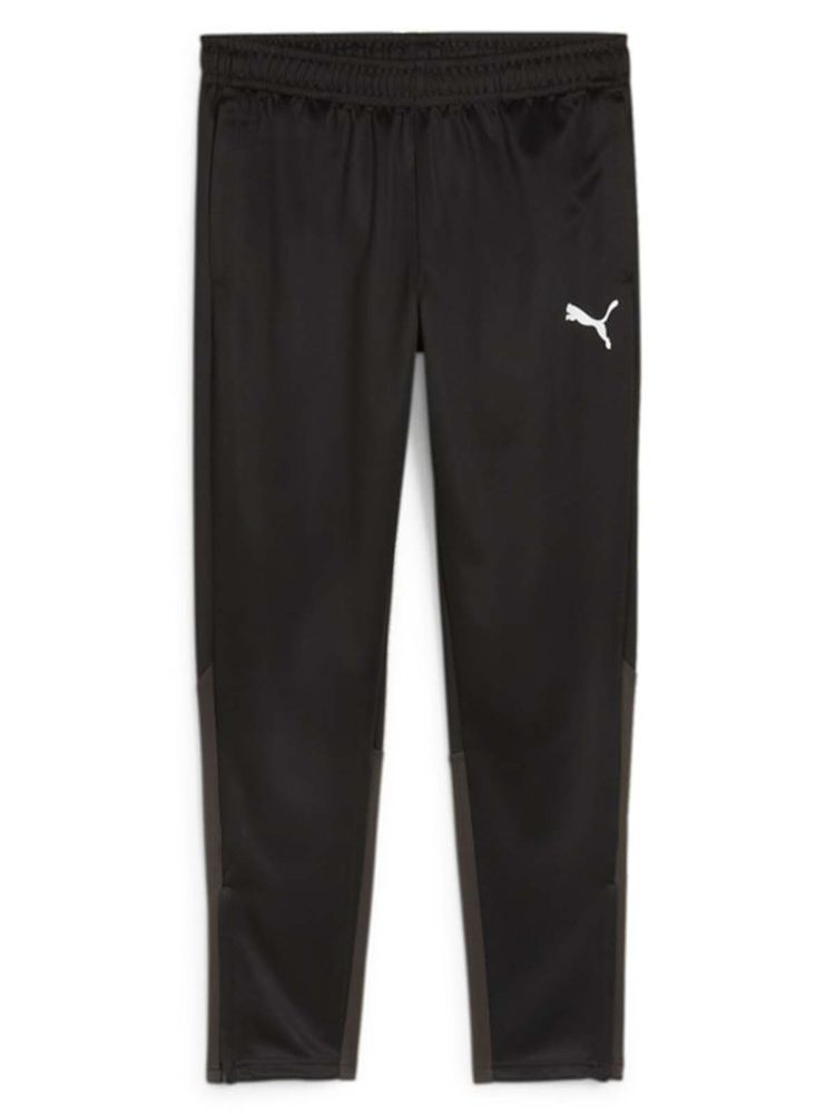 Puma teamGOAL Training Pant