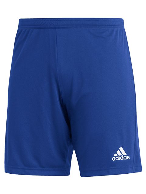 Adidas Shorts ENTRADA22 Royal Blue