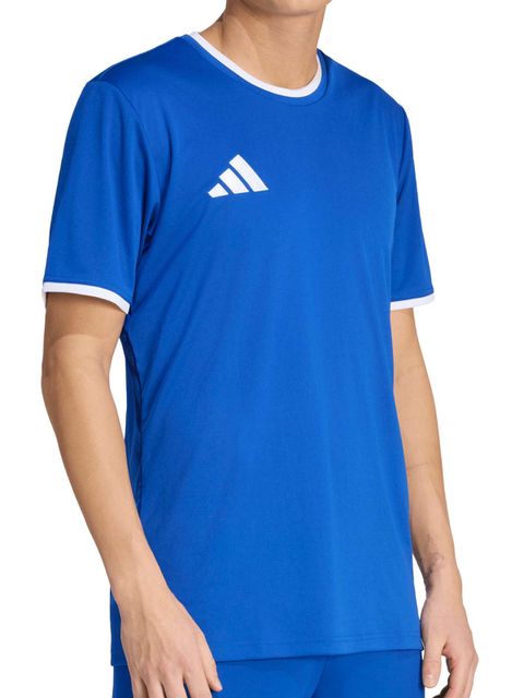 Adidas T-shirt ENTRADA26 Royal Blue-White