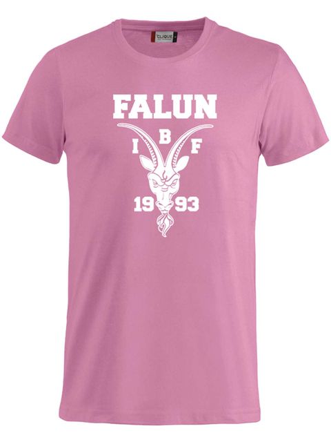 T-shirt Big logo - Junior, Rosa (IBF Falun Supportershop)