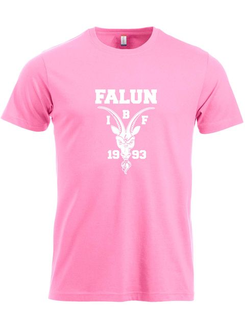T-shirt Big logo, Rosa (IBF Falun Supportershop)