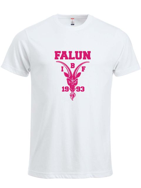 T-shirt Big logo, White (IBF Falun Supportershop)