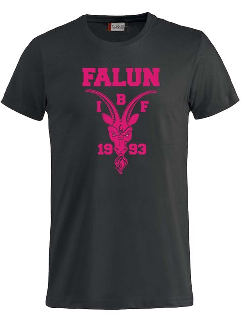 T-shirt Big logo - Junior, Black (IBF Falun Supportershop)