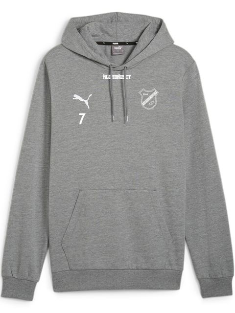 Puma Hoodie teamGOAL Casuals (Fagerhult Habo IB)