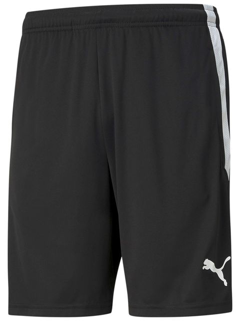 Puma Coach Shorts teamLIGA (Fagerhult Habo IB)