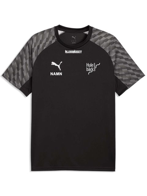 Puma T-shirt teamLIGA26 (Hulebäcksgymnasiet)