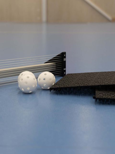 HOME-TRAINING-PACKAGE: BASIC #2