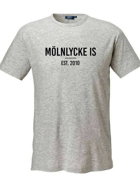 SW T-shirt Delray, Grey Melange (Mölnlycke IS)