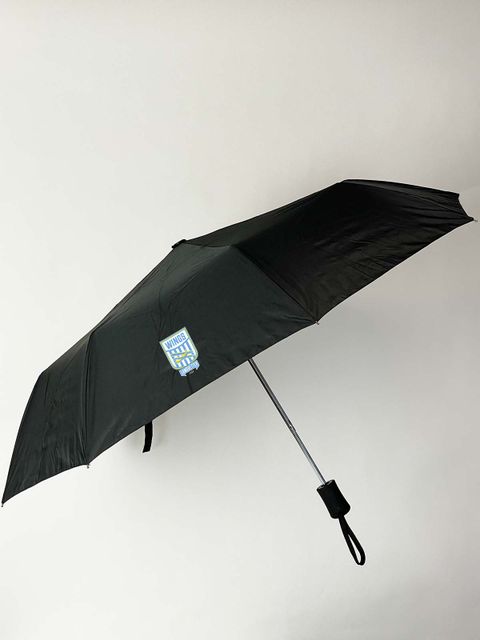 Umbrella - Compact (Landvetter Wings)
