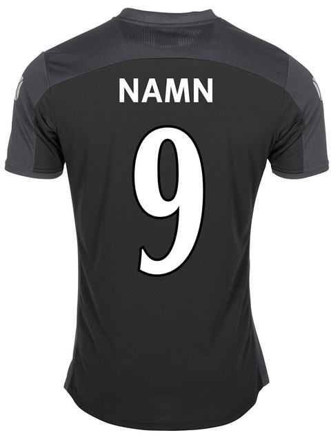 Stanno T-shirt Pride (Bergums IF Fotboll)